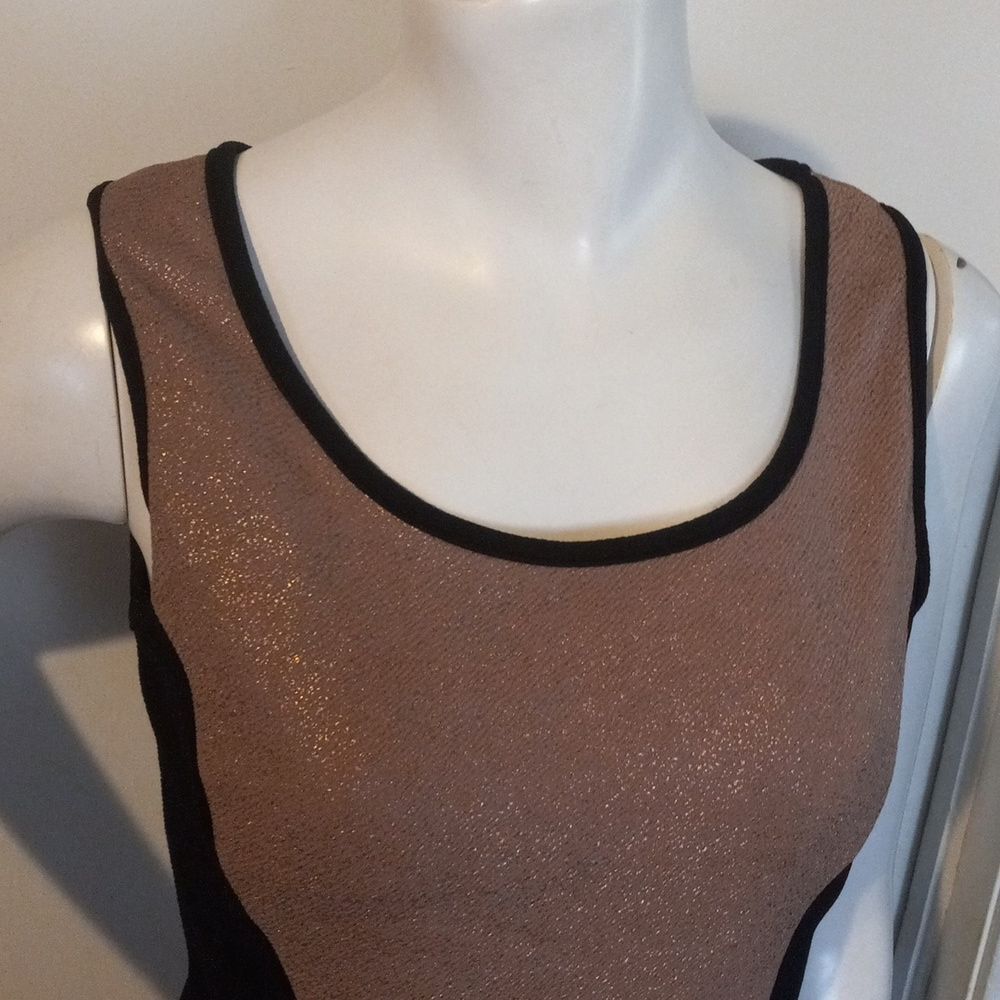 Annabelle Womens Dress Size S Blush Beige Champagne Black Figure Slimming Party - Picture 3 of 12